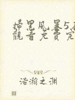 扫黑风暴5在线观看免费完整版封面