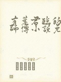 有叶君临的九位师傅小说免费阅读