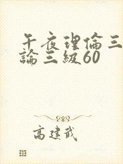 午夜理伦三级理论三级60封面