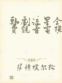 韩剧流星全集免费观看电视剧