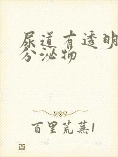 尿道有透明液体分泌物