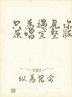 只为遇见你歌曲原唱完整版封面