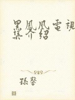 黑凤凰电视剧分集介绍