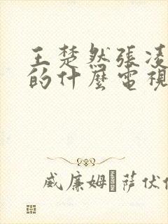 王楚然张凌赫演的什么电视剧