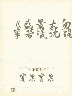 《盛景太匆匆》宁若曦沈砚舟