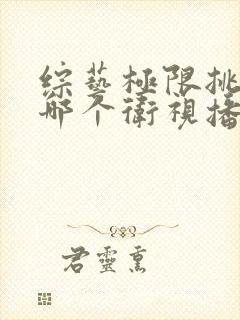 综艺极限挑战在哪个卫视播放