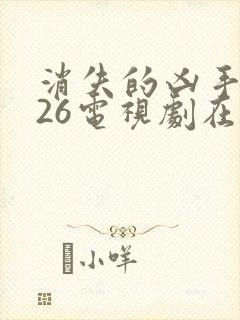 消失的凶手2026电视剧在线观看全集