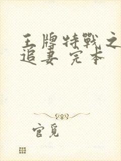 王牌特战之权少追妻 完本