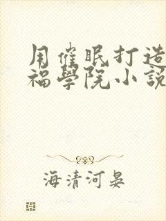 用催眠打造的幸福学院小说