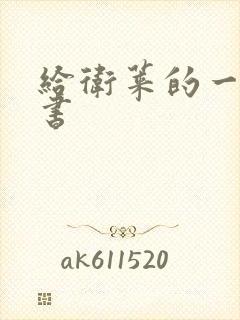 给卫莱的一封情书封面