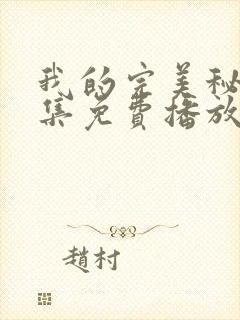 我的完美秘书全集免费播放