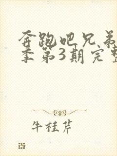 奔跑吧兄弟第4季第3期完整版