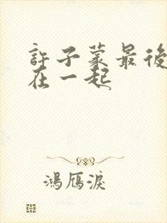 许子蒙最后和谁在一起封面