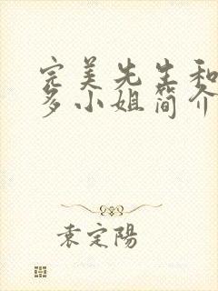 完美先生和差不多小姐简介