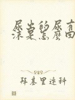 尿出的尿有很多沫是怎么回事