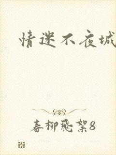 情迷不夜城