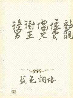 后街偶像动漫双男主免费观看动漫封面