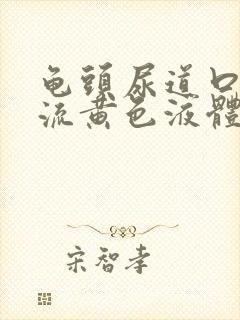 龟头尿道口一直流黄色液体怎么回事封面