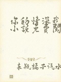 你的情深我不配小说免费阅读无弹窗