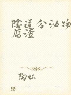 阴道分泌物想豆腐渣