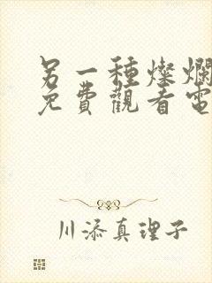 另一种灿烂生活免费观看电视剧