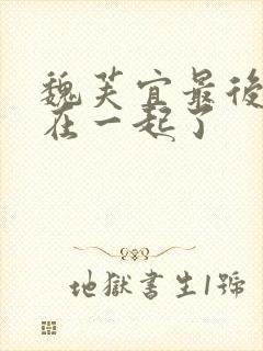 魏芙宜最后和谁在一起了