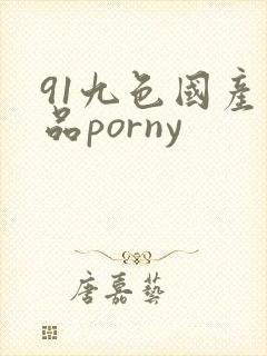 91九色国产精品porny