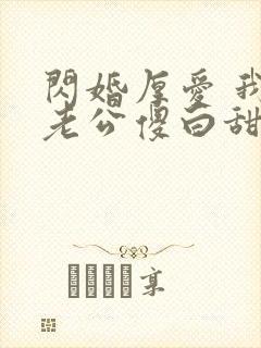 闪婚厚爱 我的老公傻白甜