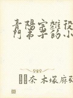 青阳宗杂役变内门弟子的小说