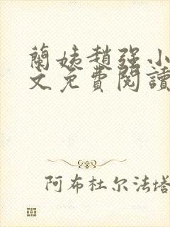 兰姨赵强小说全文免费阅读