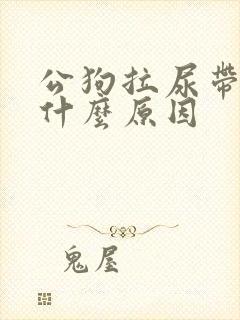 公狗拉尿带血是什么原因