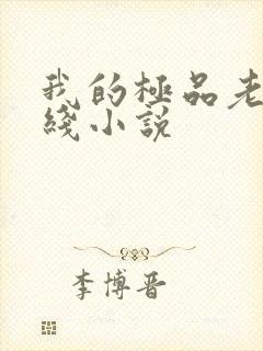 我的极品老婆在线小说