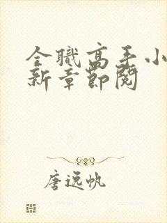 全职高手小说最新章节阅封面