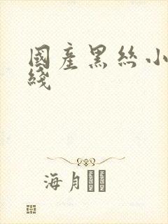 国产黑丝小骚在线封面