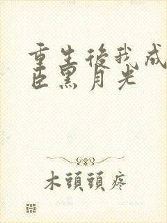 重生后我成了权臣黑月光