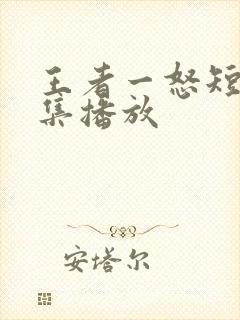 王者一怒短剧全集播放封面