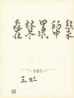 森林里的熊先生在冬眠中未增减版动漫