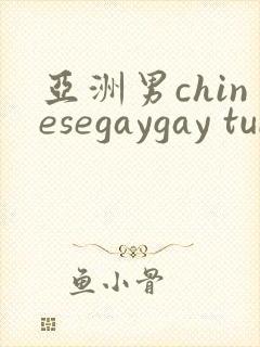 亚洲男chinesegaygay tube
