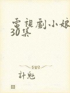 电视剧小娘惹第30集