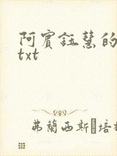 阿宾钰慧的小说txt