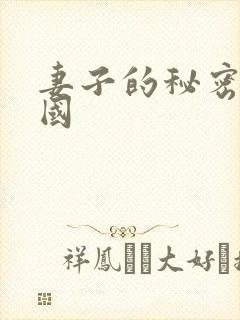 妻子的秘密2韩国