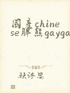 国产chinese胖熊gaygay网站