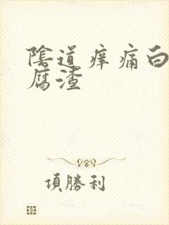 阴道痒痛白带豆腐渣