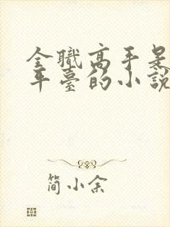 全职高手是哪个平台的小说封面