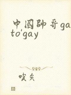中国帅哥gayto'gay