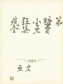 疯狂小糖第六季全集免费