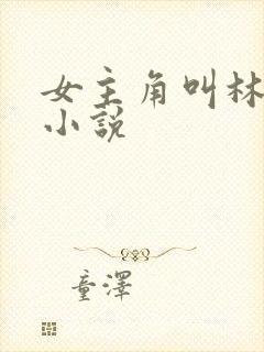 女主角叫林夏的小说