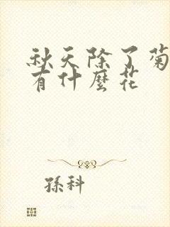 秋天除了菊花还有什么花封面