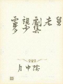 电视剧老舅总共多少集封面