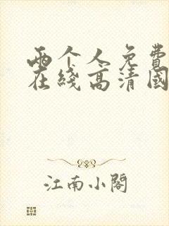 两个人免费观看在线高清国语封面